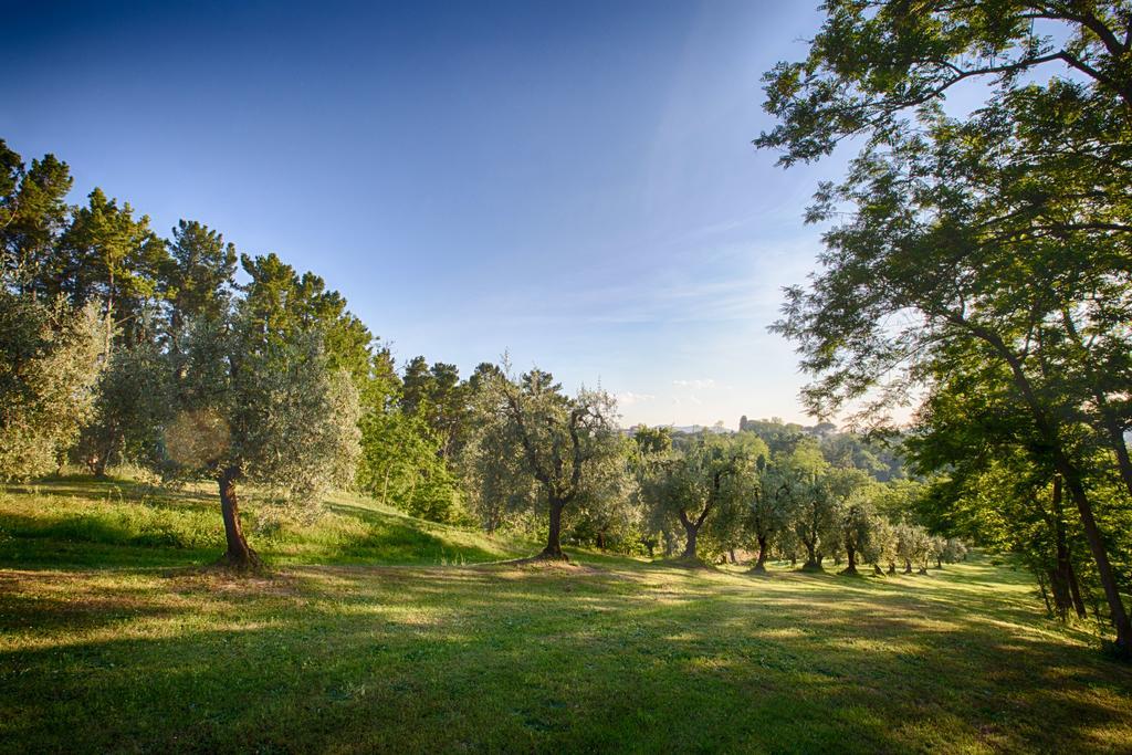 Podere Sant'Antonio Fauglia Exterior foto